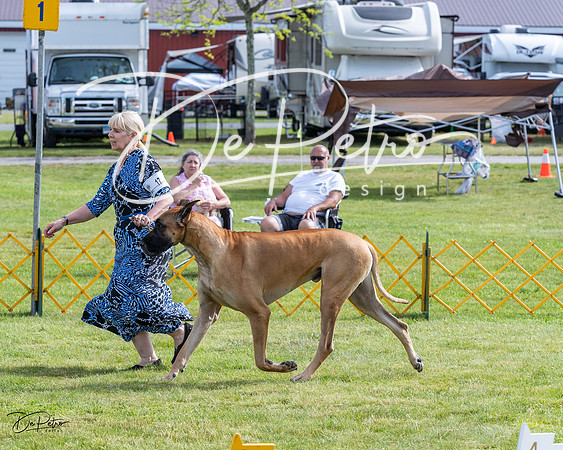 20230513-DSC00745