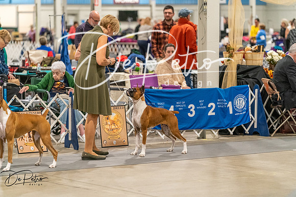 20261023-DSC04953