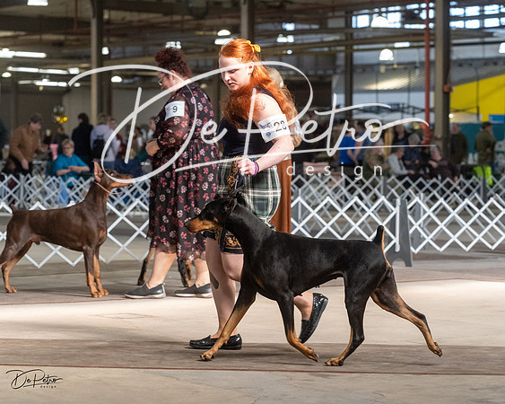 20230402-DSC09168