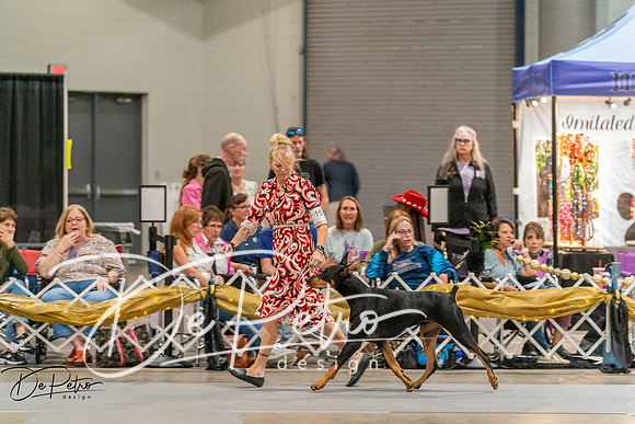 20260927-DSC05607