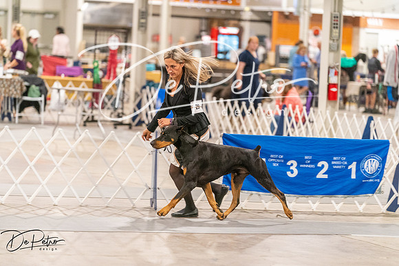 20261024-DSC00791