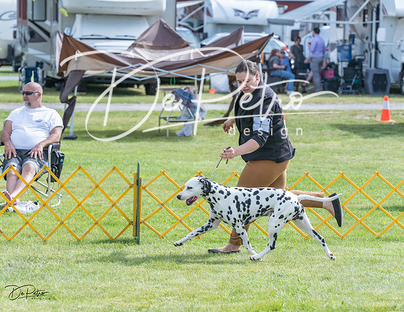 20230513-DSC00288
