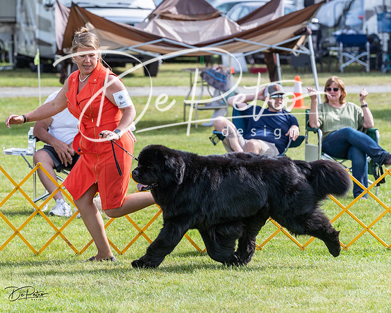 20230513-DSC00980