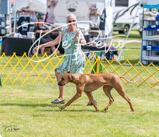 20230513-DSC09536