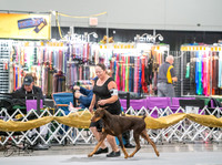 20260926-DSC04005