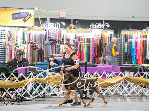 20260926-DSC04005