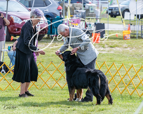 20230513-DSC00911