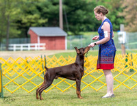20230513-DSC08120