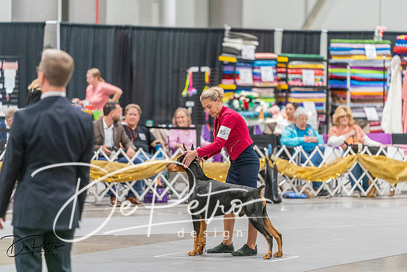 20260927-DSC05422