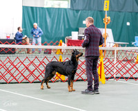 20261017-DSC08458
