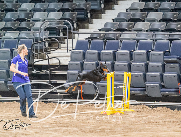 20260929-DSC06678