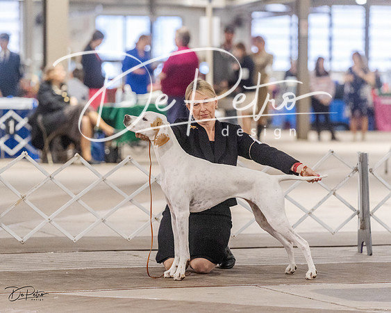 20230331-DSC05347
