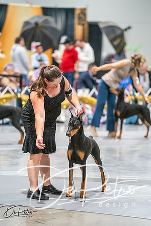20260926-DSC04171