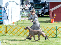 20230512-DSC05666