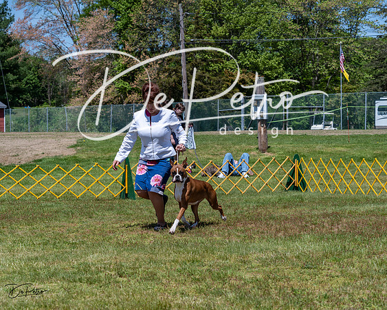 20230514-DSC04048