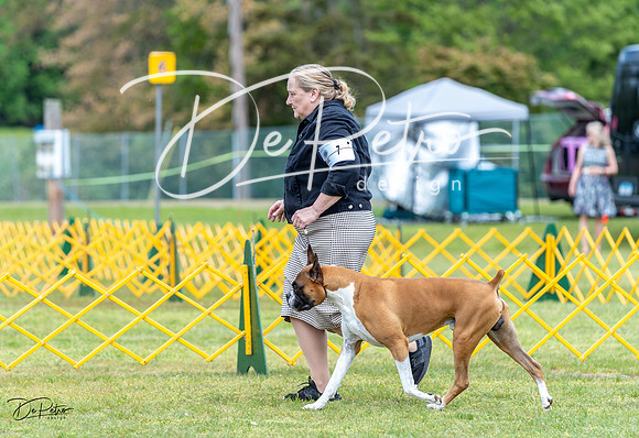20230513-DSC07526
