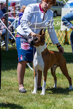 20230514-DSC04369