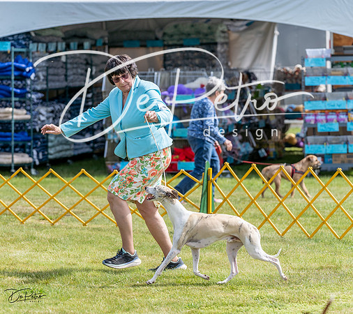 20230513-DSC09889
