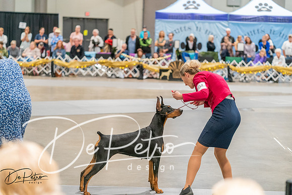 20260927-DSC05759