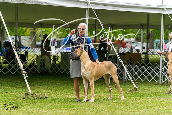 20230427-DSC02914