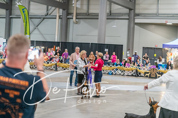 20260927-DSC05259