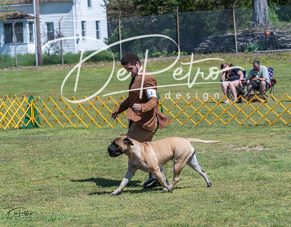 20230514-DSC03696