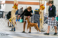 20261022-DSC00043