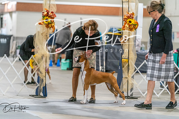 20261022-DSC00043