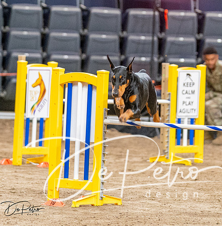 20260929-DSC06351-2