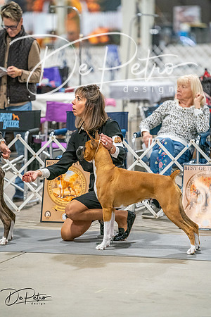 20261022-DSC02085
