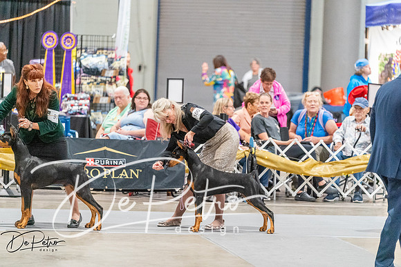 20261001-DSC07208