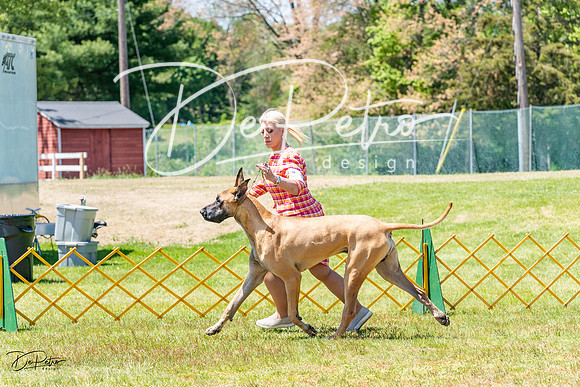 20230514-DSC07840