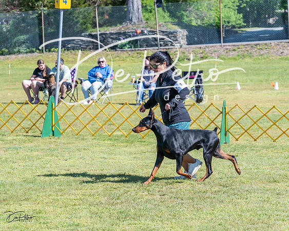 20230514-DSC03091