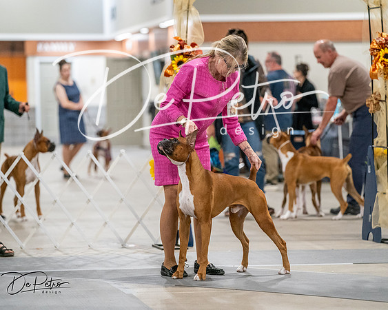 20261022-DSC02817