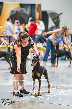 20260926-DSC04172
