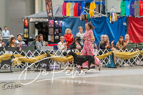 20260928-DSC05897