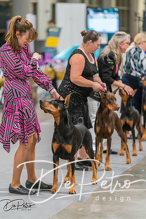 20260926-DSC05034