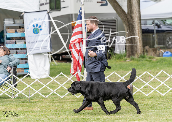 20230427-DSC05826