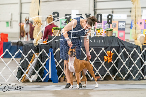 20261022-DSC00185