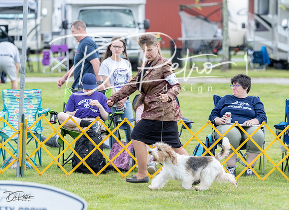 20230512-DSC03777