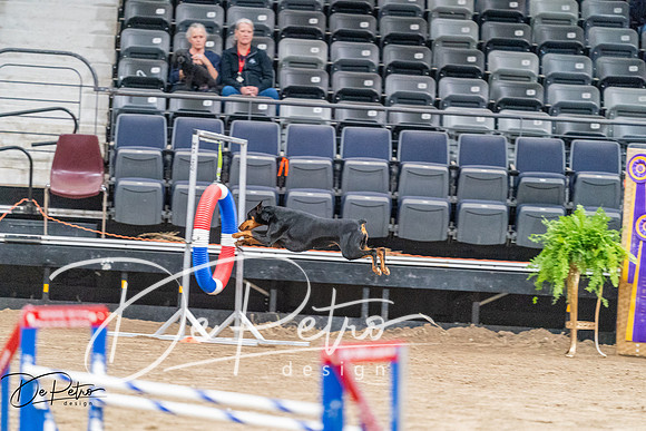20260929-DSC06437