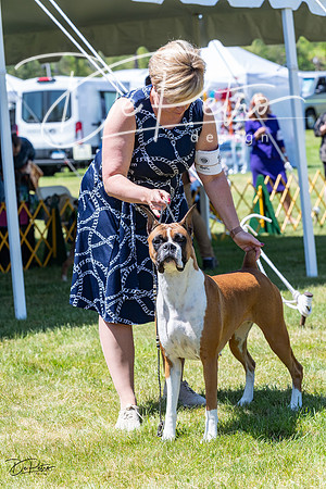 20230514-DSC04181