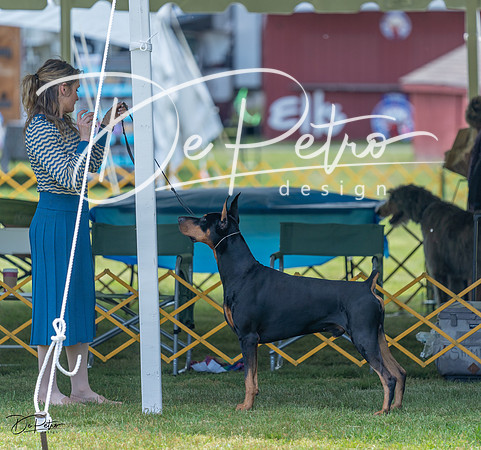 20230513-DSC08657