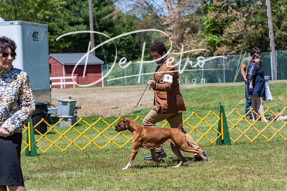 20230514-DSC04086