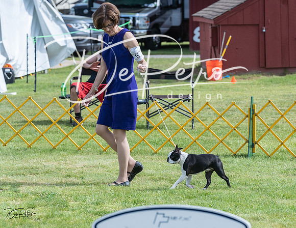 20230513-DSC00258