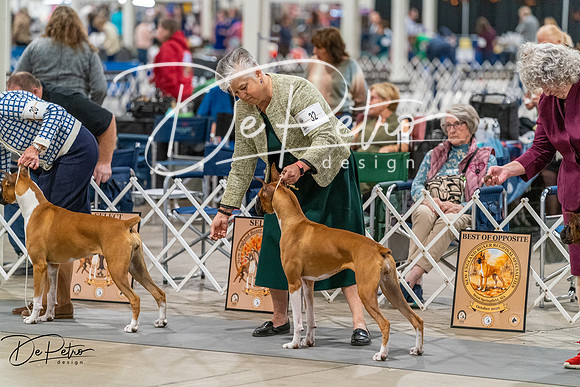 20261023-DSC05060