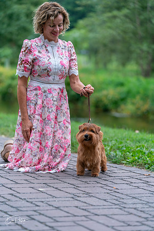 20260912-DSC03334