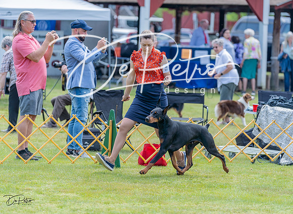 20230513-DSC08704