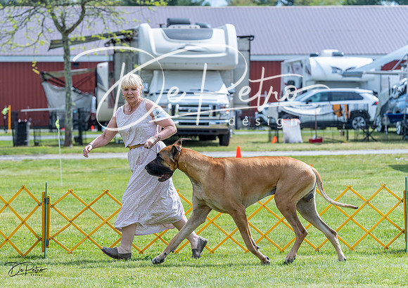 20230512-DSC04853