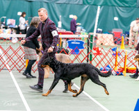 20261017-DSC08394